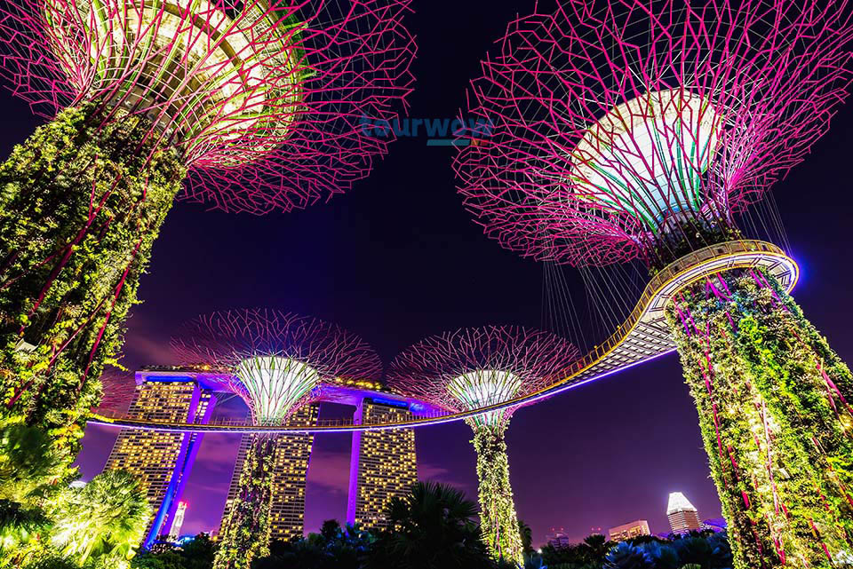 ทัวร์สิงคโปร์ การ์เด้นส์ บาย เดอะ เบย์ (Gardens by the Bay) Image4 