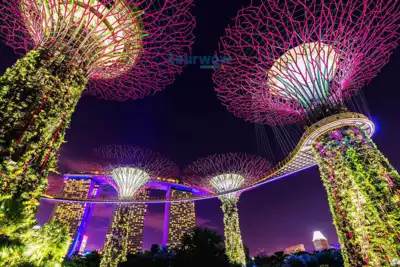 ทัวร์สิงคโปร์ การ์เด้นส์ บาย เดอะ เบย์ (Gardens by the Bay) Image4