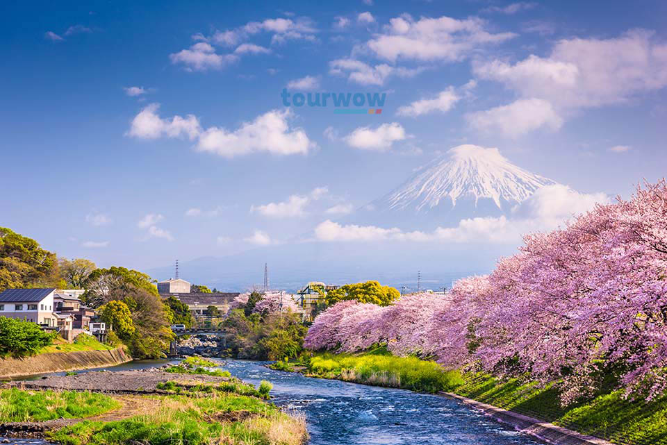  ทัวร์ญี่ปุ่น เมืองยอดนิยม ชิซูโอกะ Image 9