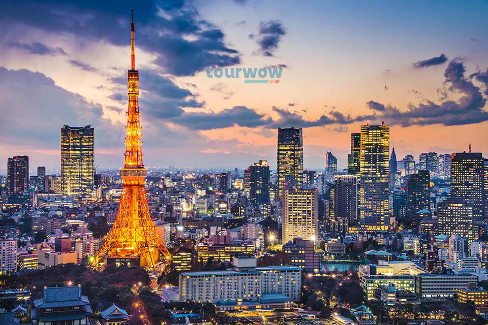  ทัวร์ญี่ปุ่น Tokyo Tower Image 12