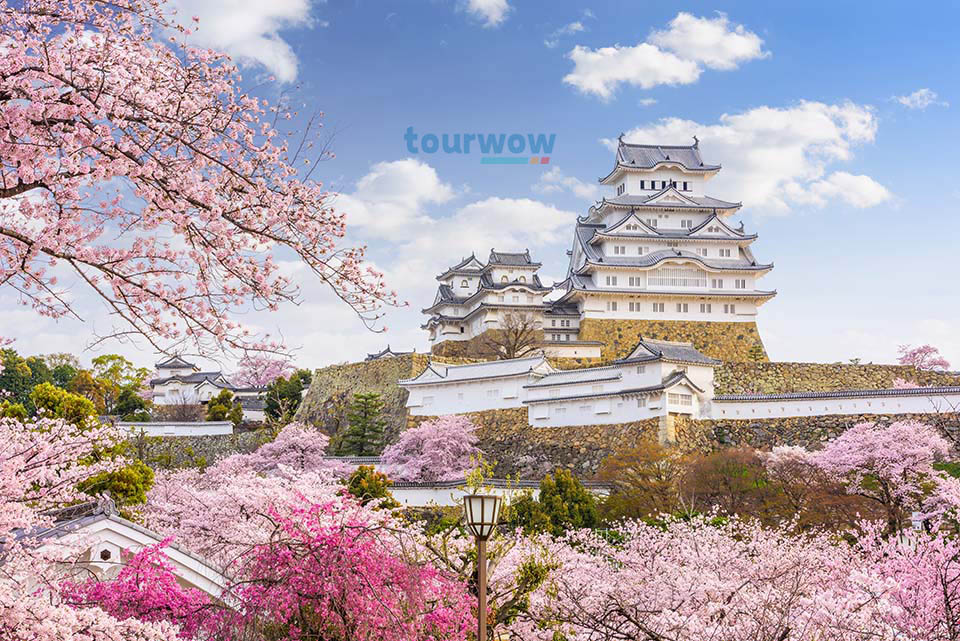  ทัวร์ญี่ปุ่น ปราสาทฮิเมจิ Image 16