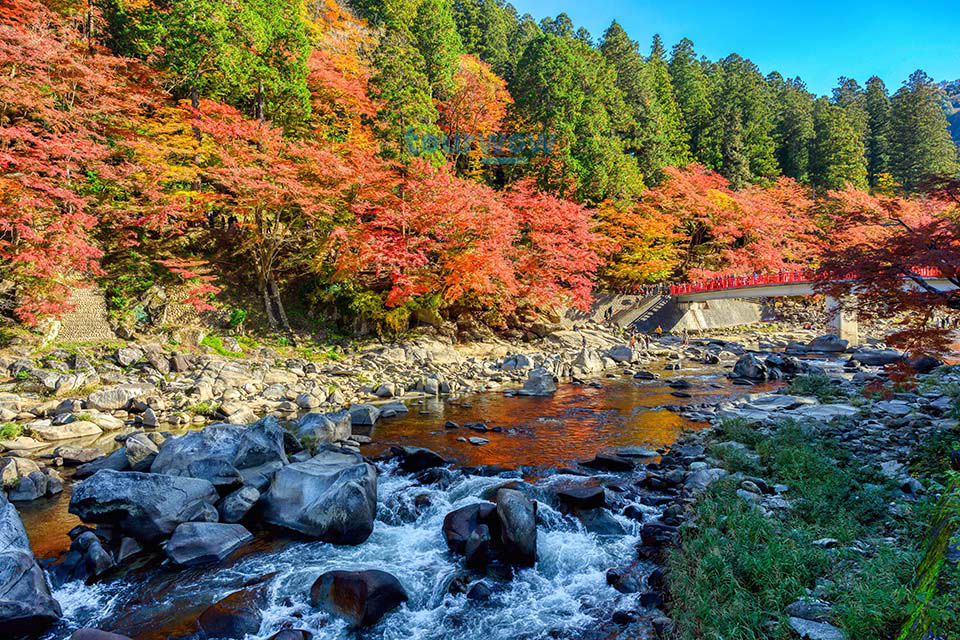 ทัวร์โอซาก้า Image 2