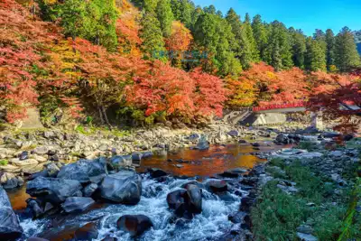 ทัวร์โอซาก้า Image 2