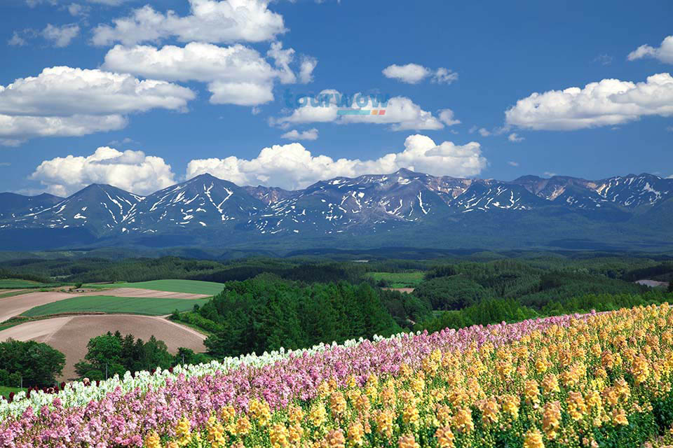 ทัวร์ฮอกไกโด Image 10