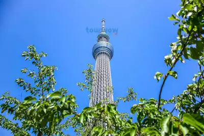 ทัวร์โตเกียว โตเกียวสกายทรี Image 6