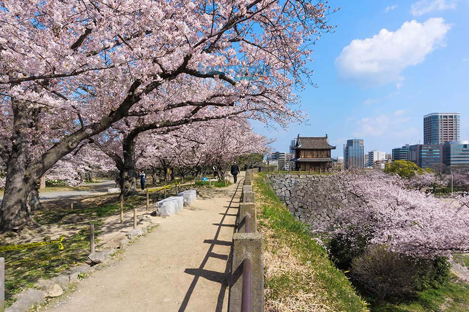 ทัวร์ฟุกุโอกะ Image 8