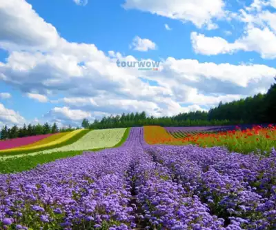 ทัวร์เวียดนาม ดาลัด Image 3