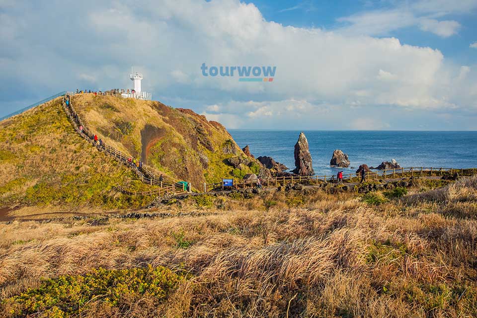 ทัวร์เกาหลี เกาะเชจู Image10