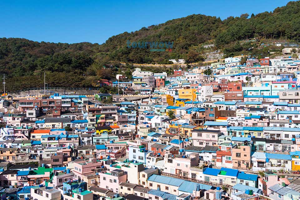 ทัวร์ปูซาน Gamcheon Culture Village Image6