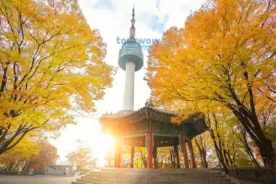 ทัวร์โซล หอคอย N Seoul Tower Image4