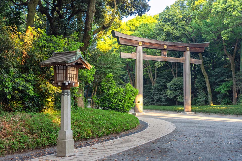 ฮาราจูกุ ศาลเจ้า Meiji Jingu Image3