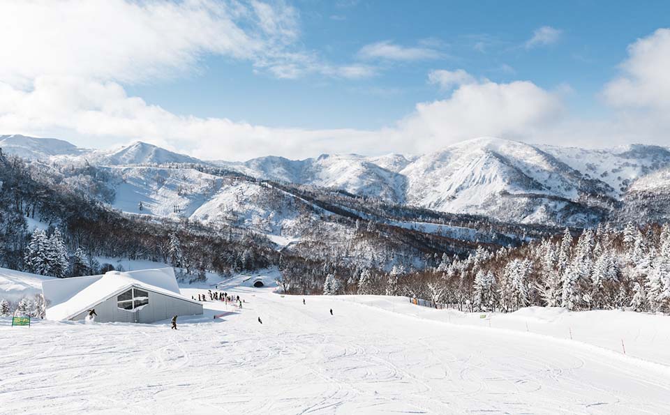 ฮอกไกโด หิมะ คิโรโระ สกีรีสอร์ท Image8