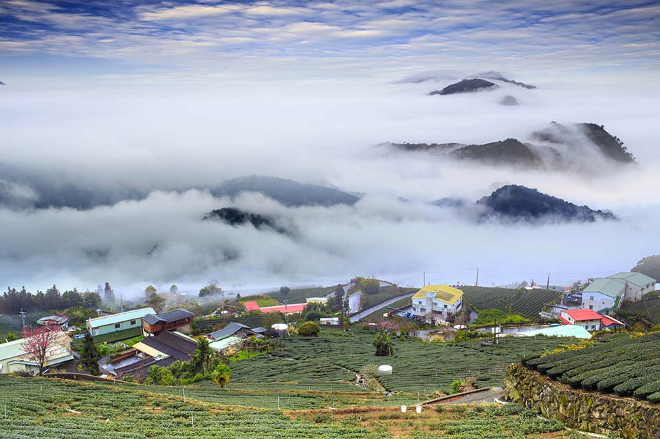 ทัวร์ไต้หวัน ทัวร์เจียอี้ Image7