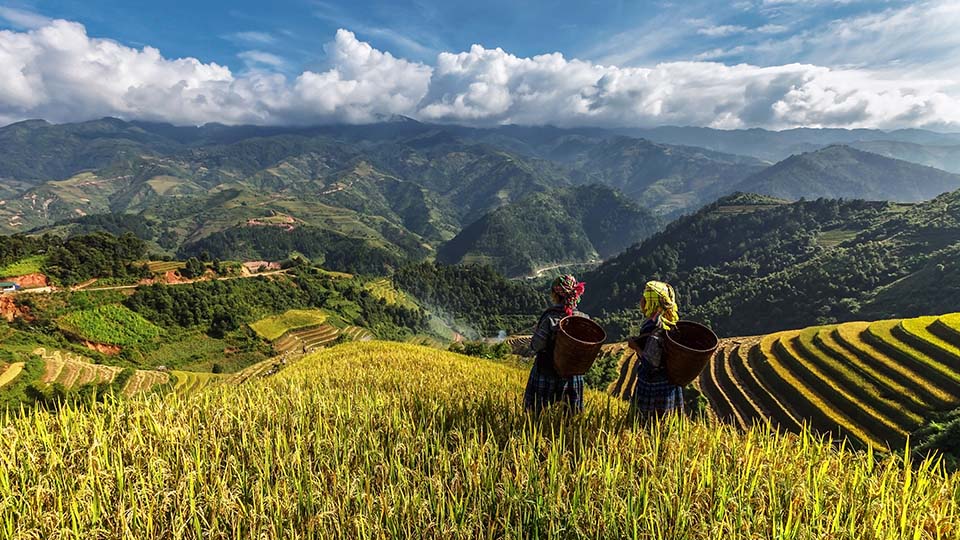 ทัวร์ซาปา สถานที่เที่ยวทัวร์ซาปายอดนิยม Image3