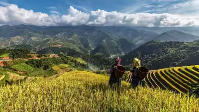 ทัวร์ซาปา สถานที่เที่ยวทัวร์ซาปายอดนิยม Image3