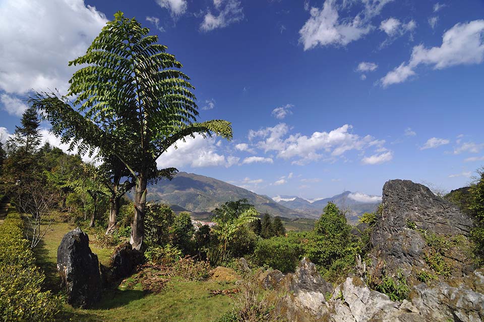 ทัวร์ซาปา ภูเขาฮามรอง (Ham Rong Mountain) Image6