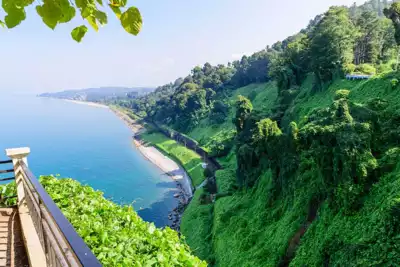 ทัวร์จอร์เจีย Batumi botanical garden Image8