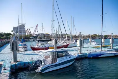 ทัวร์เกาสง ตลาดปลาท่าเรือสิงดา (Singda Harbor) Image8