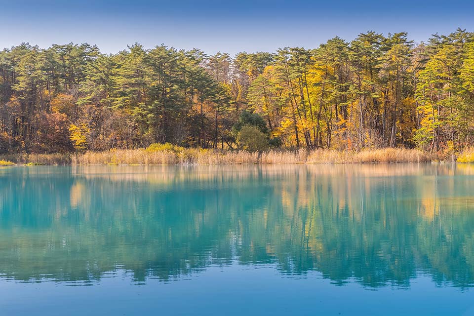 ทัวร์ฟุกุชิมะ Image2