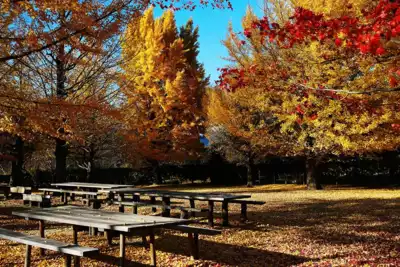 ทัวร์ฟุกุชิมะ สวนชิคิโนะซาโตะ เรียวคุซุยเอ็น (Shiki no Sato Ryokusuien) Image10