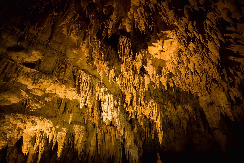 ทัวร์กิฟุ ถ้ำโอทากิ (Otaki Cave) Image11