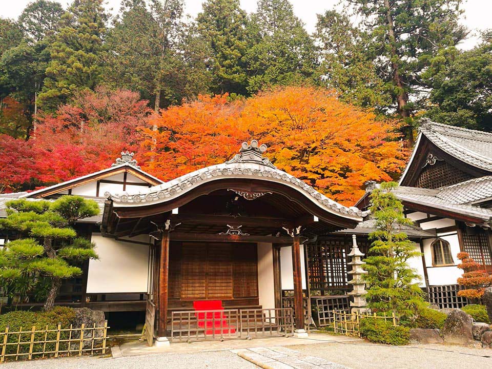 ทัวร์กิฟุ วัดอนเซ็นจิ (Onsenji Temple) Image13