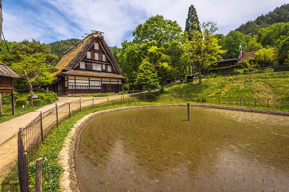 ทัวร์กิฟุ หมู่บ้านพื้นเมืองฮิดะ (Hida Folk village) Image15