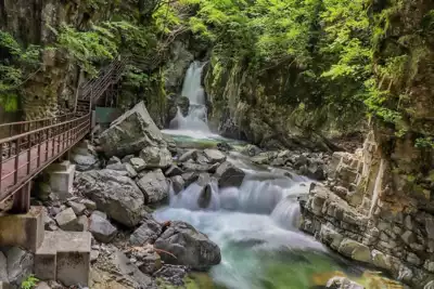 ทัวร์กิฟุ น้ำตกฮิดะ โอซากะ (Hida Osaka Falls) Image16