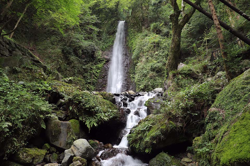 ทัวร์กิฟุ น้ำตกโยโระ (Yoro Falls) Image17