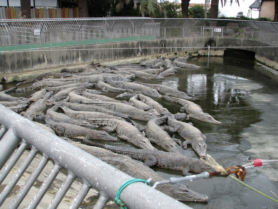 จิโกกุ (Jigoku Meguri) Image6