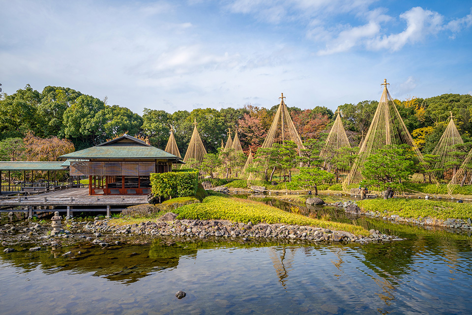 ทัวร์นาโกย่า สวนชิโรโทริ (Shirotori Garden) Image9