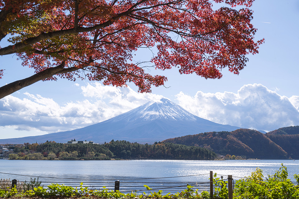 ทัวร์ชิซูโอกะ Image3