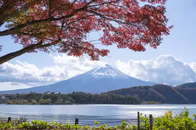 ทัวร์ชิซูโอกะ Image3