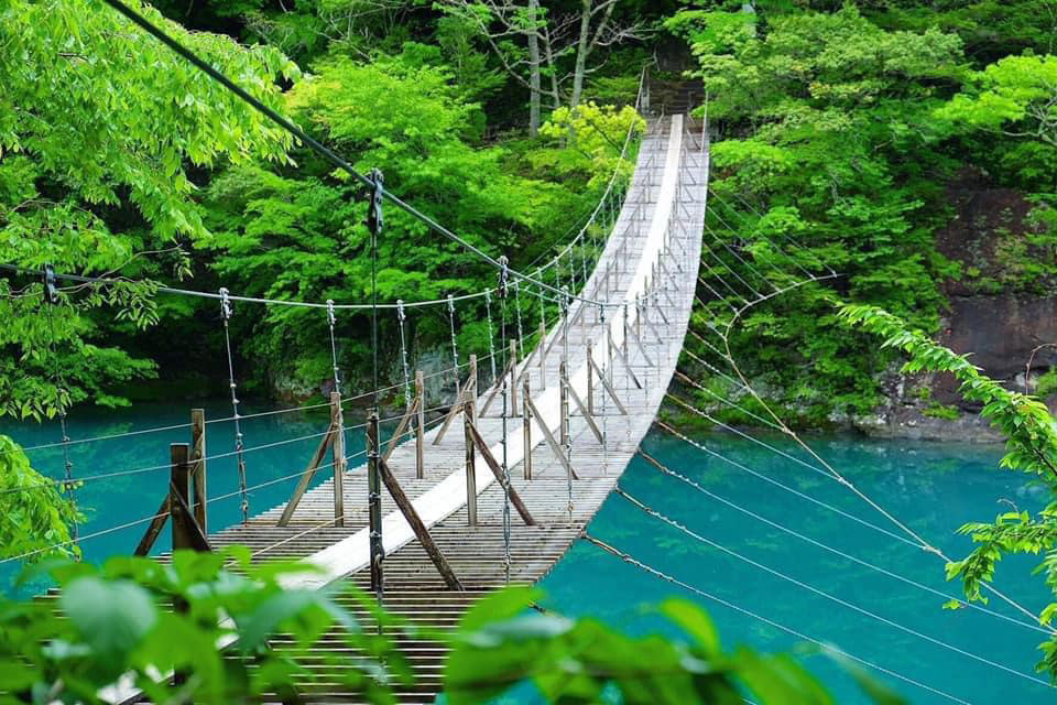 ทัวร์ชิซูโอกะ สะพานแขวนแห่งความฝัน (Yume no Tsuribashi) Image7