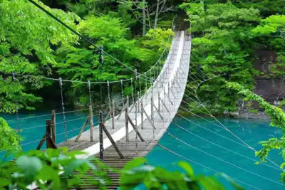 ทัวร์ชิซูโอกะ สะพานแขวนแห่งความฝัน (Yume no Tsuribashi) Image7