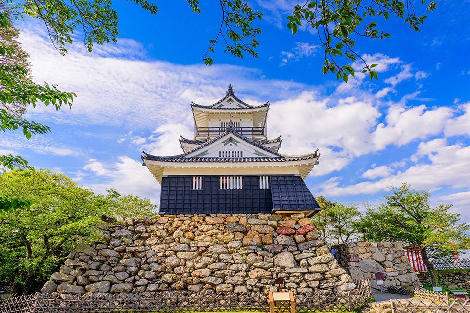 ทัวร์ชิซูโอกะ ปราสาทฮามามัตสึ (Hamamatsu Castle) Image10