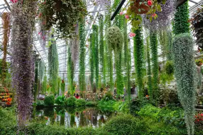 ทัวร์ชิซูโอกะ สวนดอกไม้ฮามามัตสึ (Hamamatsu Flower Park) Image11