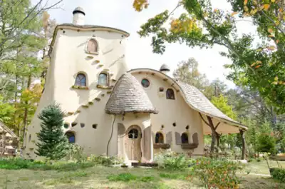 ทัวร์ชิซูโอกะ ป่านุคุโมริ (Nukumori Forest) Image17