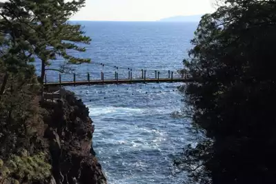 ทัวร์ชิซูโอกะ หาดโจงาซากิ (Jogasaki Beach) Image18