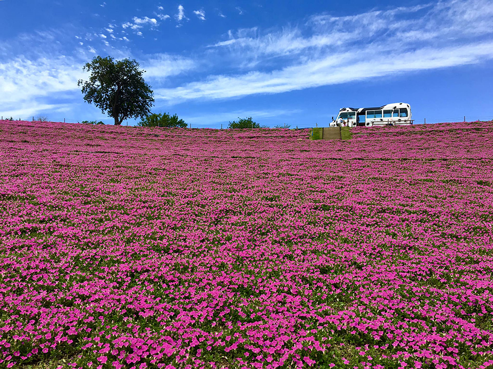 ทัวร์ชิบะ มาเธอร์ฟาร์ม (Mother Farm) Image6