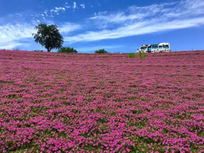 ทัวร์ชิบะ มาเธอร์ฟาร์ม (Mother Farm) Image6