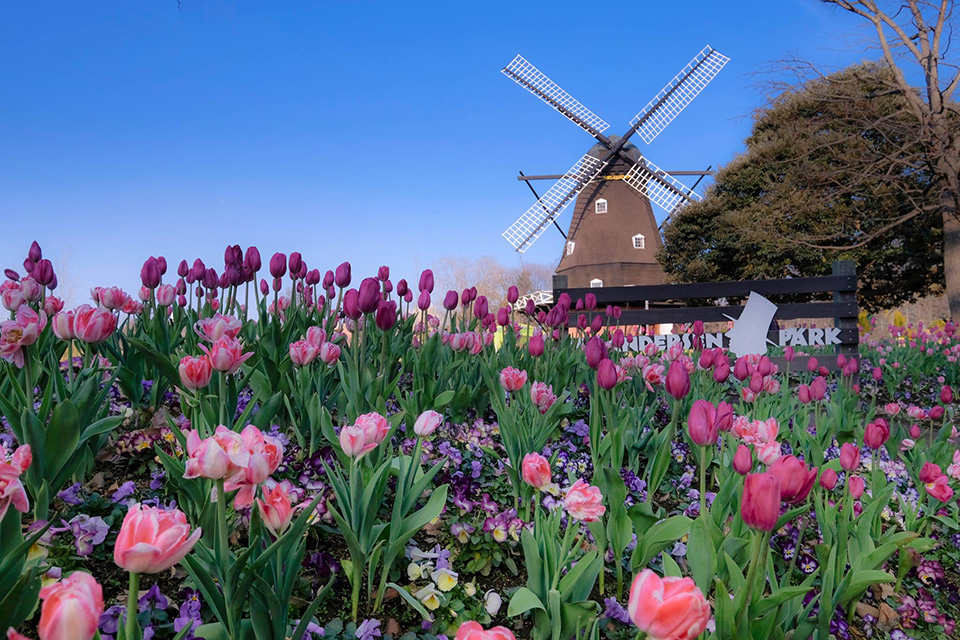 ทัวร์ชิบะ สวนสาธารณะฟุนาบาชิ (Funabashi H.C. Andersen Park) Image8