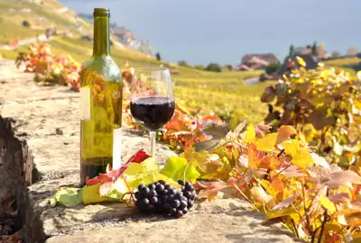 ทัวร์ฝรั่งเศส Image8