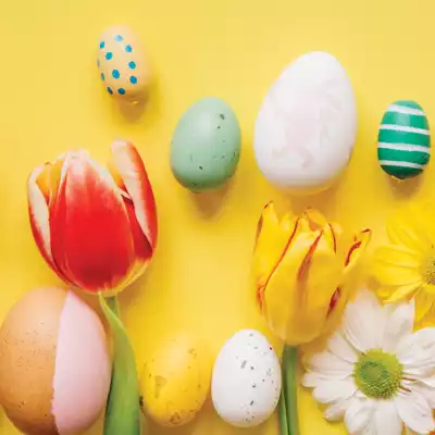 ทัวร์ฝรั่งเศส Image11