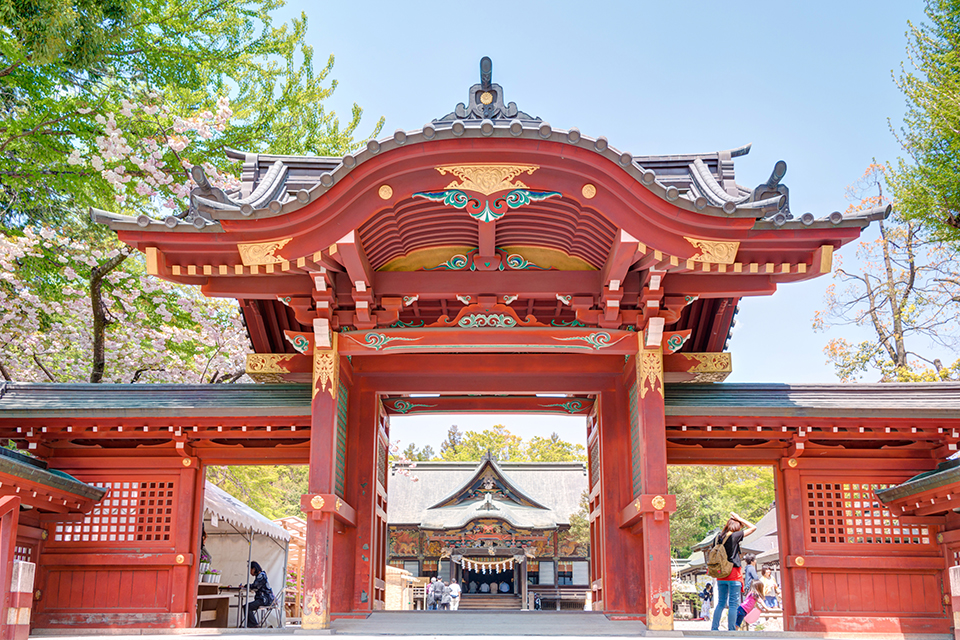 ทัวร์ไซตามะ ศาลเจ้าจิจิบุ (Chichibu Shrine) Image5