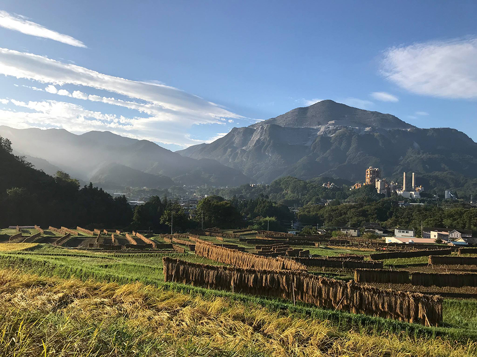 ทัวร์ไซตามะ นาข้าวขั้นบันไดเทระซากะ (Terasaka Tanada) Image7