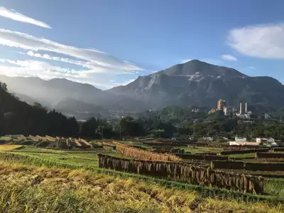 ทัวร์ไซตามะ นาข้าวขั้นบันไดเทระซากะ (Terasaka Tanada) Image7