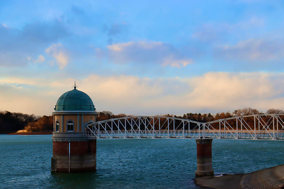 ทัวร์ไซตามะ ทะเลสาบซายามะ (Sayama Lake) Image18