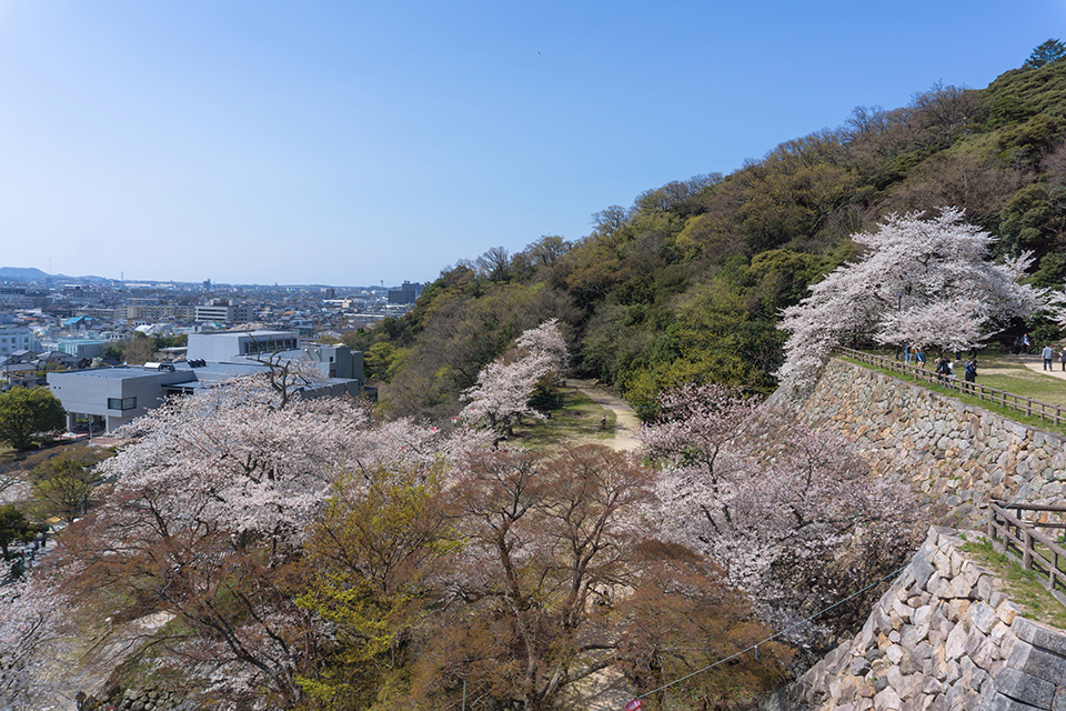 ทัวร์ทตโตริ ปราสาททตโตริ (Tottori Castle) Image17