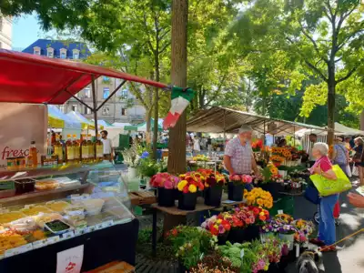 ทัวร์ซูริค ตลาดนัด Bürkliplatz Image15